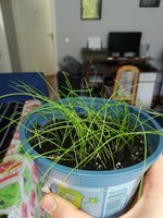 IMG_20230414_125000.jpg