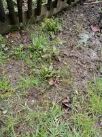 IMG_20230414_161713.webp
