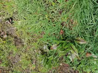 IMG_20230414_161701.webp