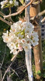 IMG_5559.jpeg