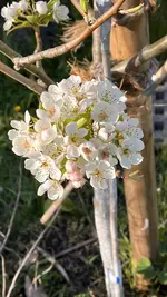 IMG_5559.jpeg