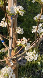 IMG_5563.jpeg