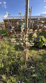 IMG_5555.jpeg