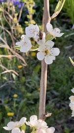 IMG_5557.jpeg
