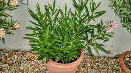 IMG_20180706_164536998_HDR.webp IMG_20180706_164536998_HDR.webp