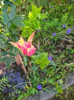 IMG_20230414_101047.webp