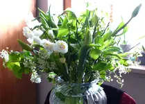 P1390429.webp