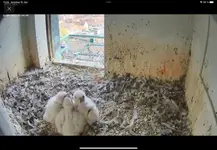 B0B08CFA-B1F7-4F5F-912C-8D5976AD4042.webp B0B08CFA-B1F7-4F5F-912C-8D5976AD4042.webp