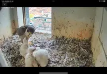 2F154F10-7B38-42FA-B820-053DFC57C39C.webp 2F154F10-7B38-42FA-B820-053DFC57C39C.webp