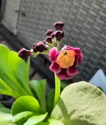 20230417_172532.webp