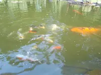 DSCN0407.webp