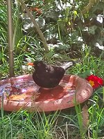 IMG_20230419_144440.jpg