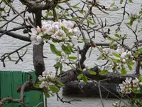 DSC02851.JPG
