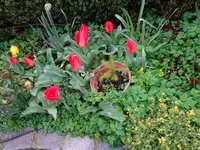 DSC02855.JPG