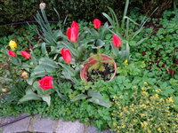 DSC02855.JPG