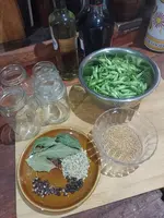 IMG_20230417_150427.webp