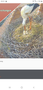 Screenshot_20230420-090130_Samsung Internet.webp