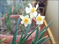 c022.webp