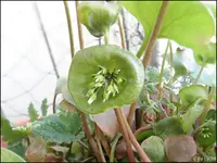 c023.webp
