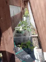 IMG_20230418_134019.webp