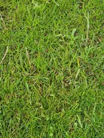 20230420_122700.webp