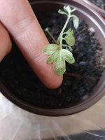 20230420_190458.jpg