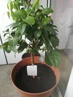 IMG_20220423_180835.webp