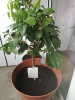 IMG_20220423_180835.jpg