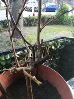 IMG_20230420_193032.jpg
