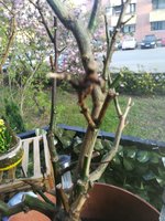 IMG_20230420_193041.jpg