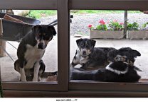 IMG_8750 v (2).JPG
