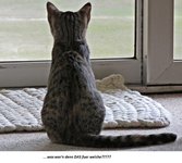 IMG_8760 v (2).JPG