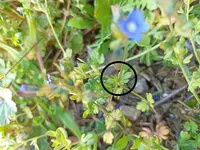 IMG_20230421_095803.webp