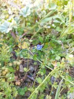 IMG_20230421_095617.jpg