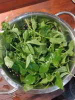IMG_20230421_193659.webp