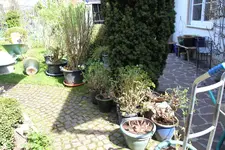 Umtopfen0223.webp