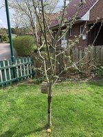 IMG_0083.jpeg