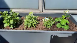 20230422_125511.jpg 20230422_125511.jpg