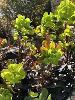 ACF2757D-CBA9-4DC7-83F8-0238BC25A860.webp