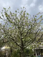 0338F5DB-EC93-454C-A116-D2DFE1FA02D6.webp