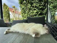 IMG_8868.jpeg