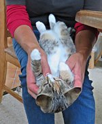 IMG_8767 - Copy.JPG