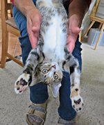 IMG_8770 - Copy.JPG