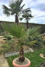 IMG_0871.JPG