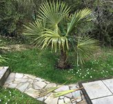 IMG_0862.JPG