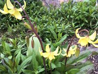 IMG_0866.JPG