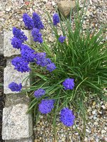 IMG_0869.JPG