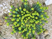 IMG_0870.JPG