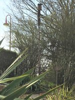 IMG_0857.JPG