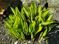 IMG_20230423_101822.webp
